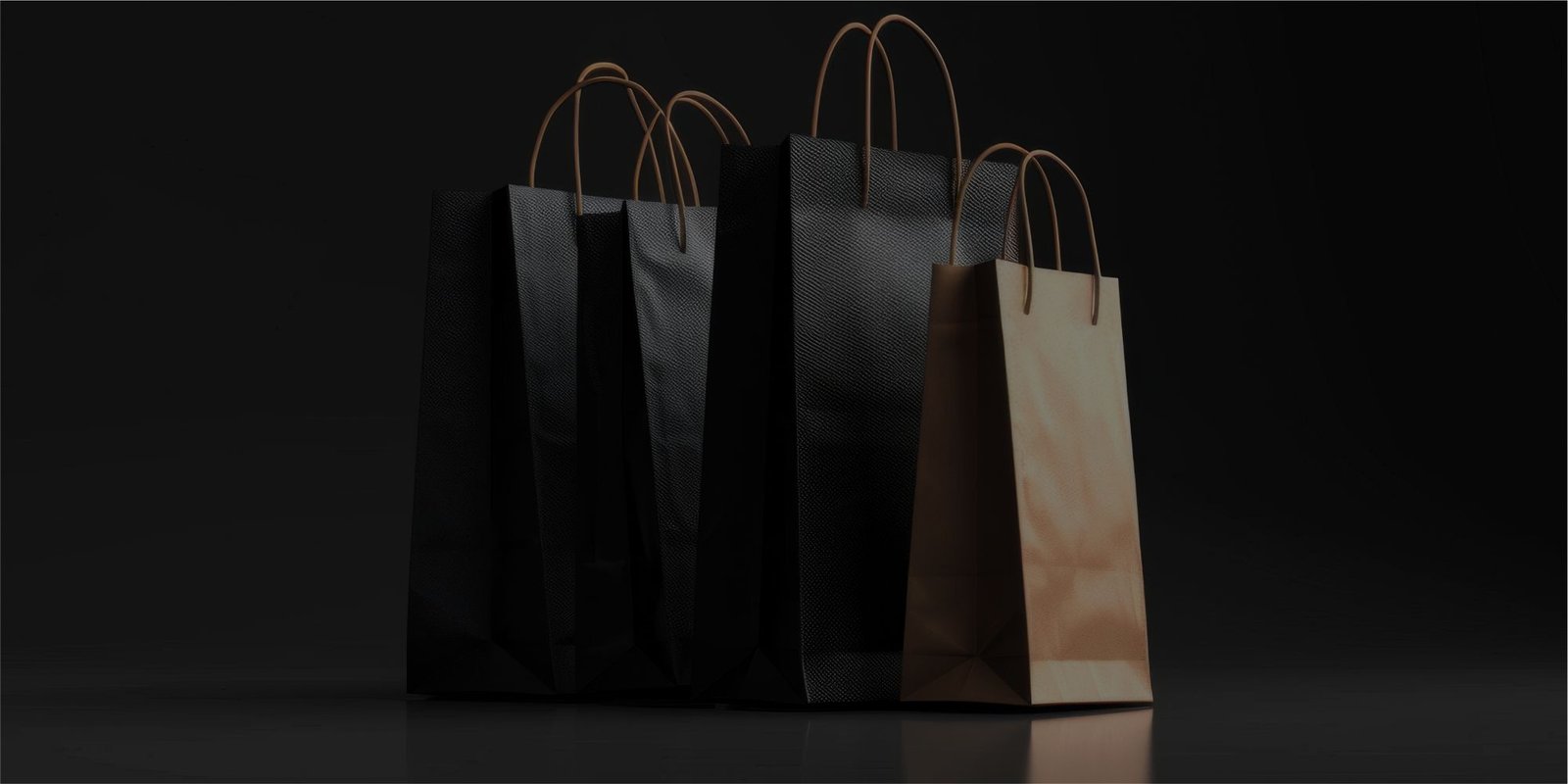 Carry Bag